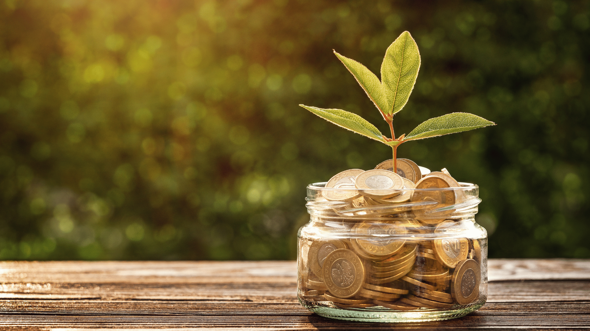 Requisitos-para-el-Programa-de-Liquidación-del-10%-de-FOVISSSTE