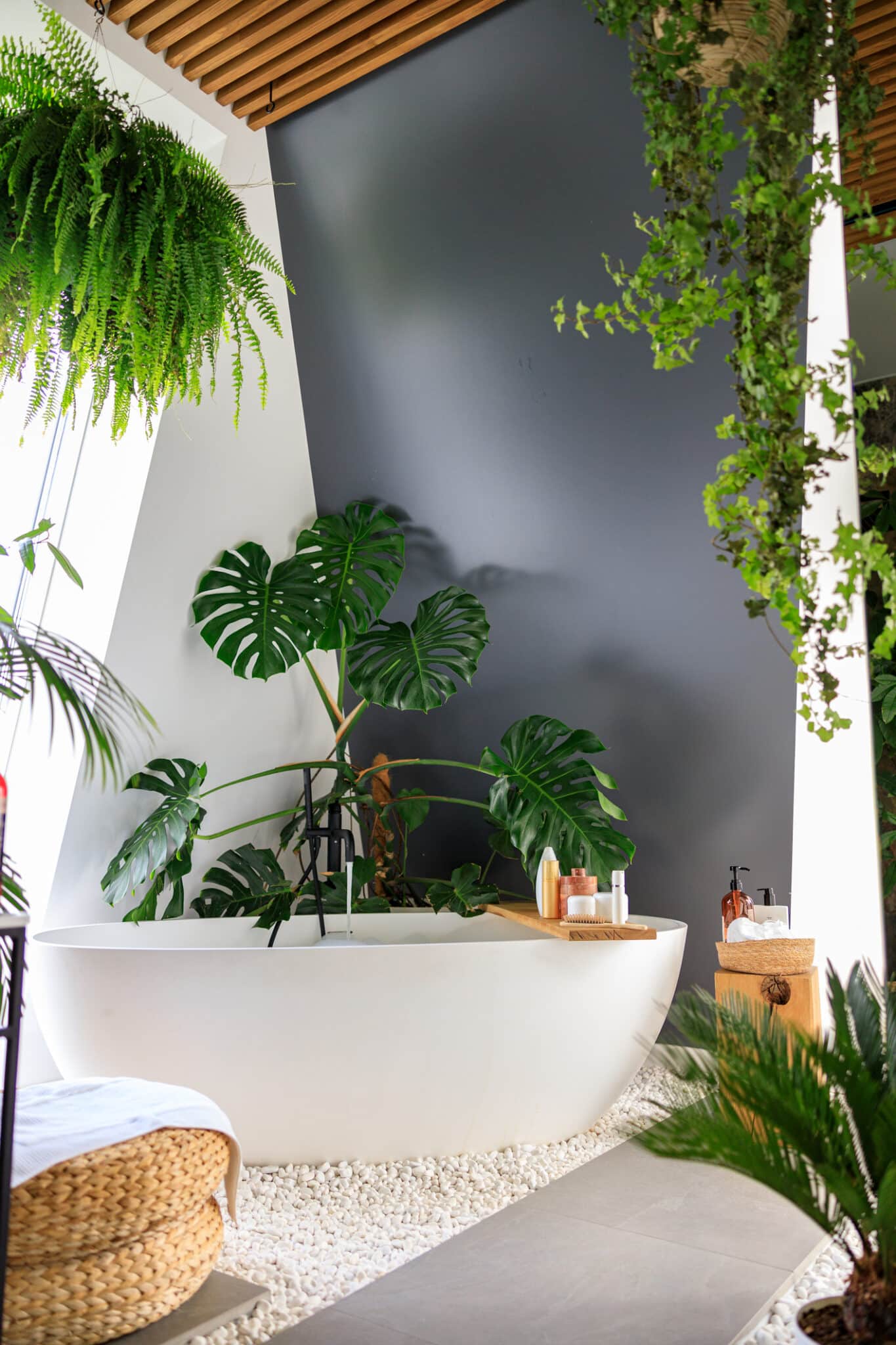 Beautiful and cozy bathroom with white bathtub, tropical plants, wooden decor elements and body care cosmetics