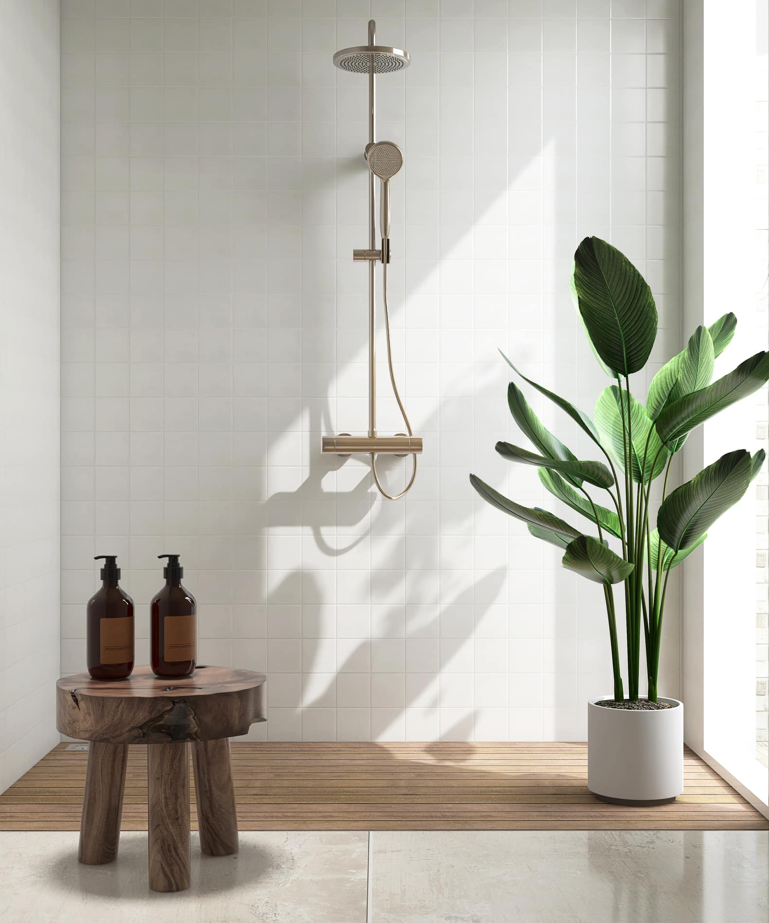 Shower enclosure in bathroom with chair, shampoo mockup, rain shower, green tropical tree in sunlight in white square tile wall