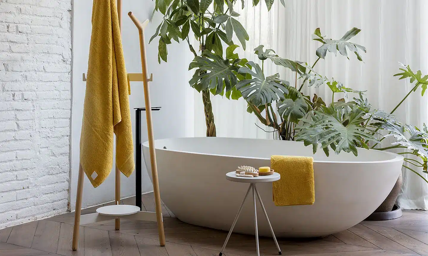 plantas-en-el-baño-como-cuidarlas-y-elegir-las-adecuadas Planta para baño Filodendro